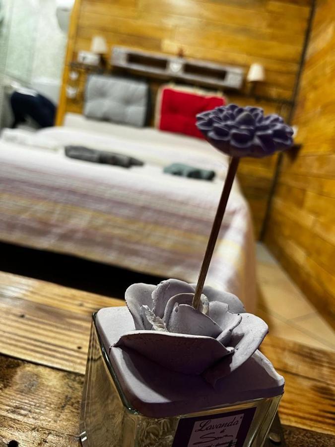 维泰博La Casa A Colori别墅 外观 照片